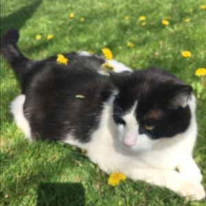 Meet your Posher, Leslie